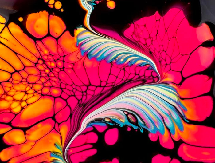 <h3>Stuck, curious, or mid-bloom meltdown? I’ve got you, Bloomie. Ask away.</h3>