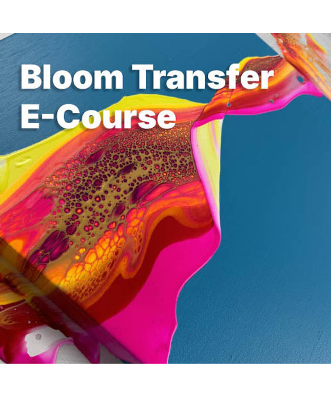 Bloom Transfer E-Kurs