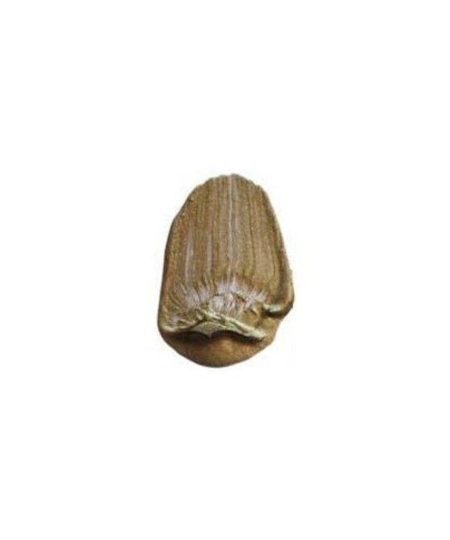 Tri-Art Flüssigacrylfarbe: Irisierendes Bronze