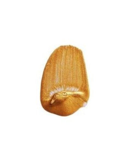 Tri-Art Liquid Acrylic Paint : Iridescent Gold Deep