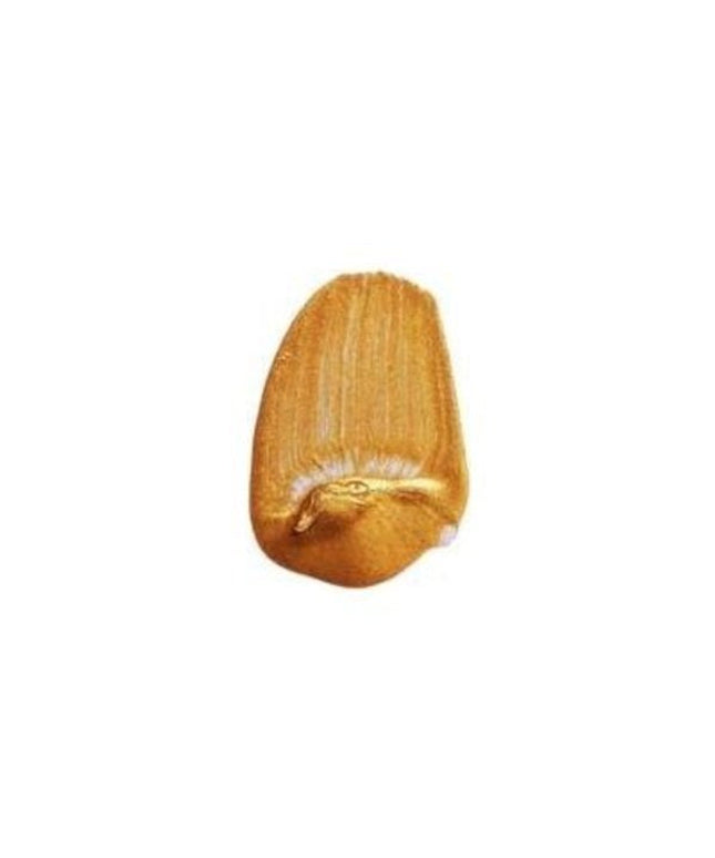 Tri-Art Flüssigacrylfarbe: Irisierendes Gold Tief