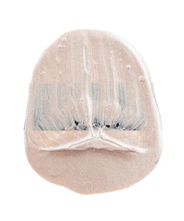 Tri-Art High Viscosity Acrylic Paint : Rose Gold